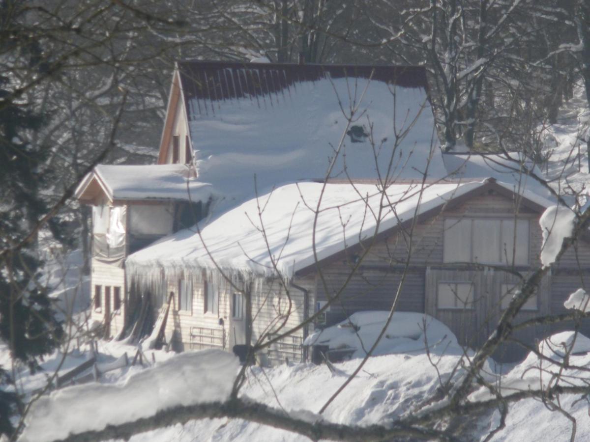Bed and Breakfast Ferme Im-Berg Metzeral Exterior foto