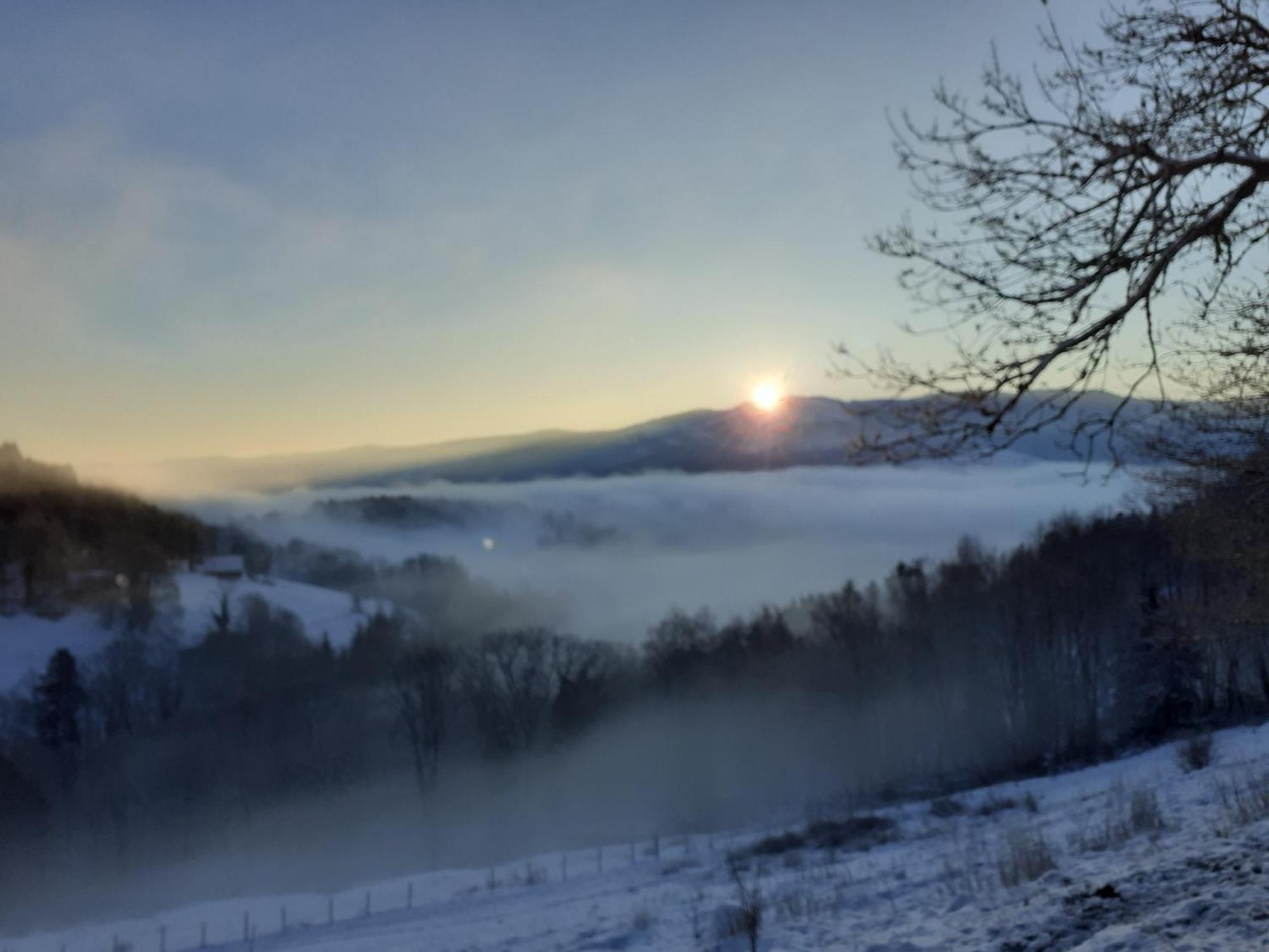 Bed and Breakfast Ferme Im-Berg Metzeral Exterior foto